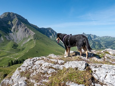 DCLDLUX8-20250622-1000718