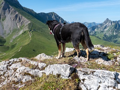 DCLDLUX8-20250622-1000719