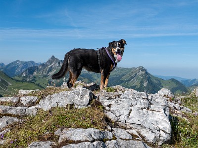 DCLDLUX8-20250622-1000720