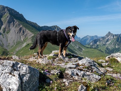 Hohmattli (2025-06-22)