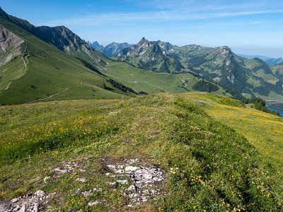 DCLDLUX8-20250622-1000723