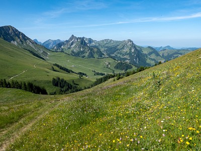 DCLDLUX8-20250622-1000726