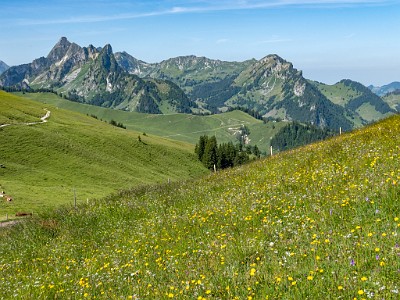 DCLDLUX8-20250622-1000728