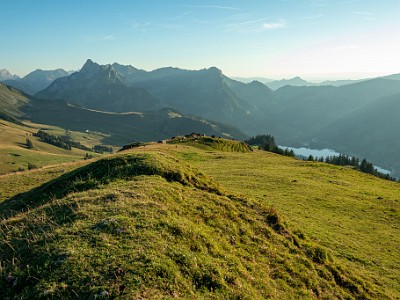 DCCG1X-20250807-1633