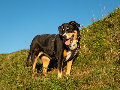 DCCG1X-20250807-1644