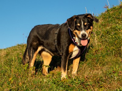 DCCG1X-20250807-1647