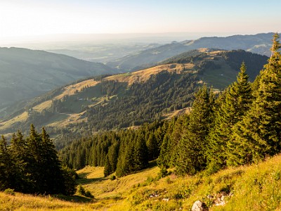 DCCG1X-20250807-1648