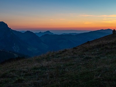 DCCG1X-20250807-1663