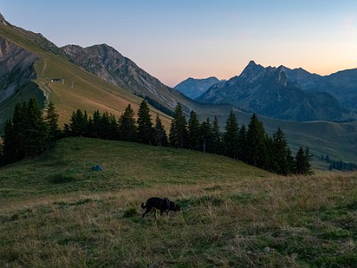 DCCG1X-20250807-1664