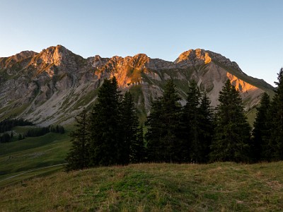 DCCG1X-20250808-1675