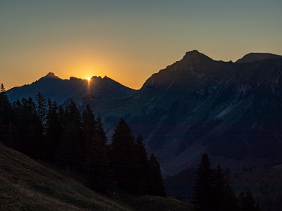 DCCG1X-20250808-1679