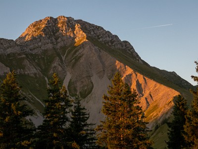 DCCG1X-20250808-1701