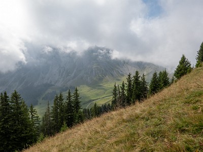 DCLDLUX8-20250823-1000998