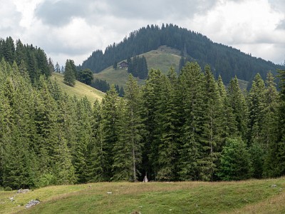 DCLDLUX8-20250823-1001001