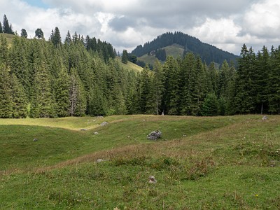 DCLDLUX8-20250823-1001002