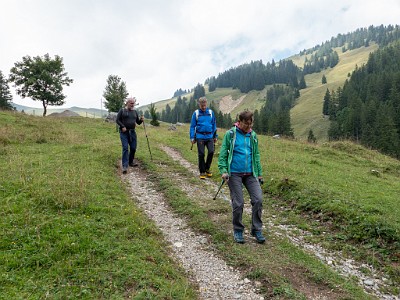 DCLDLUX8-20250823-1001003