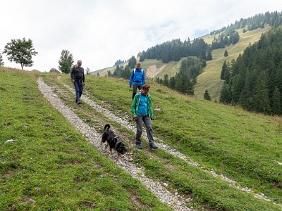 DCLDLUX8-20250823-1001004