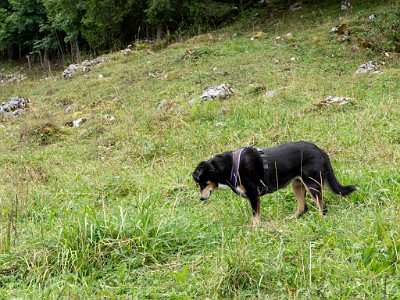 DCLDLUX8-20250823-1001006