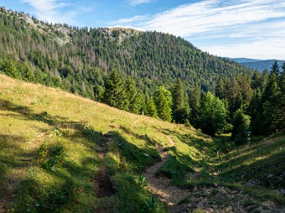 DCCG1X-20250718-1473