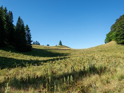 DCCG1X-20250718-1474