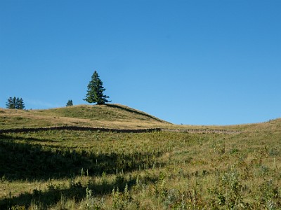 DCCG1X-20250718-1475