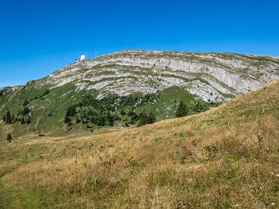 DCCG1X-20250718-1477