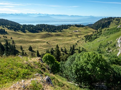 DCCG1X-20250718-1479