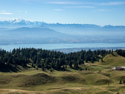 DCCG1X-20250718-1480