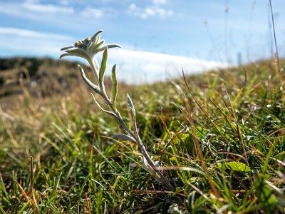 DCCG1X-20250718-1482