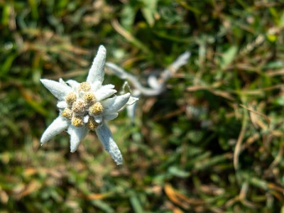 DCCG1X-20250718-1483