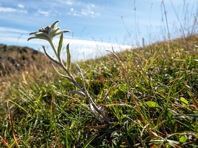 DCCG1X-20250718-1485