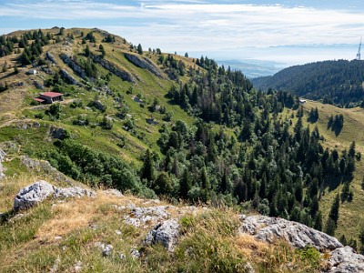 DCCG1X-20250718-1486