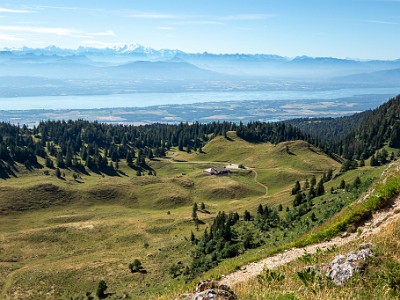 DCCG1X-20250718-1487