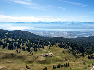 DCCG1X-20250718-1490