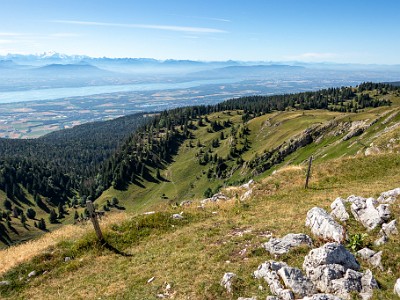 DCCG1X-20250718-1504