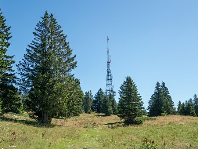 DCCG1X-20250718-1511