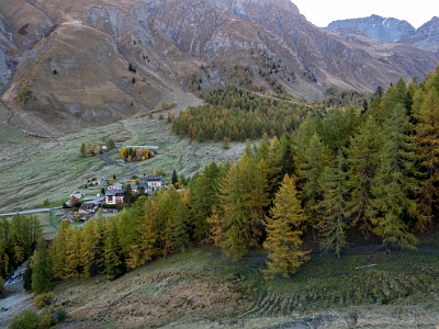 DCLDLUX8-20251015-1001823