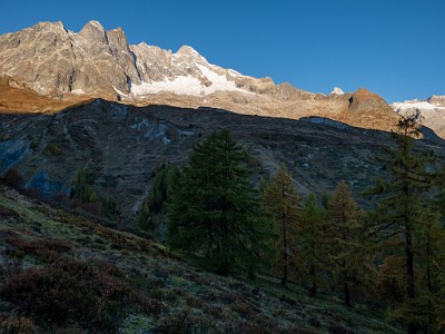 DCLDLUX8-20251015-1001829