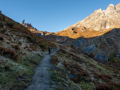 DCLDLUX8-20251015-1001830