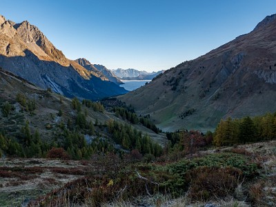 DCLDLUX8-20251015-1001832