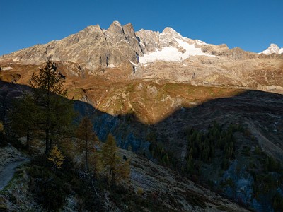 DCLDLUX8-20251015-1001834