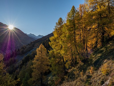 DCLDLUX8-20251015-1001839