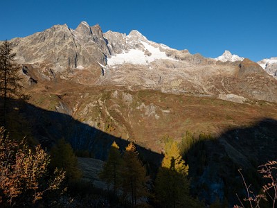 DCLDLUX8-20251015-1001843