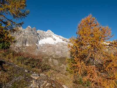 DCLDLUX8-20251015-1001846