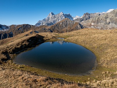 DCLDLUX8-20251015-1001863