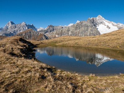 DCLDLUX8-20251015-1001865