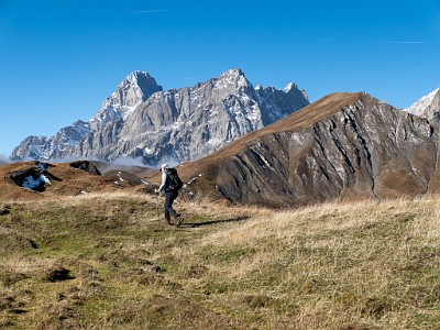 DCLDLUX8-20251015-1001873