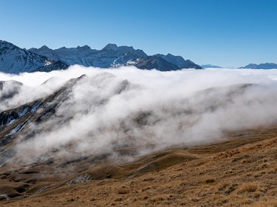 DCLDLUX8-20251015-1001875