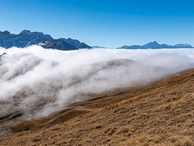 DCLDLUX8-20251015-1001877