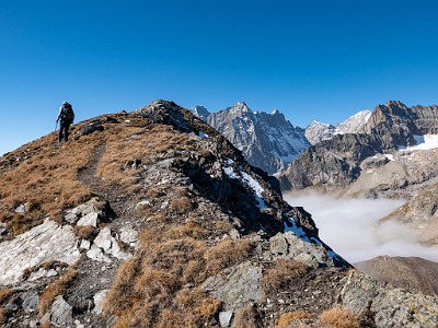 DCLDLUX8-20251015-1001880